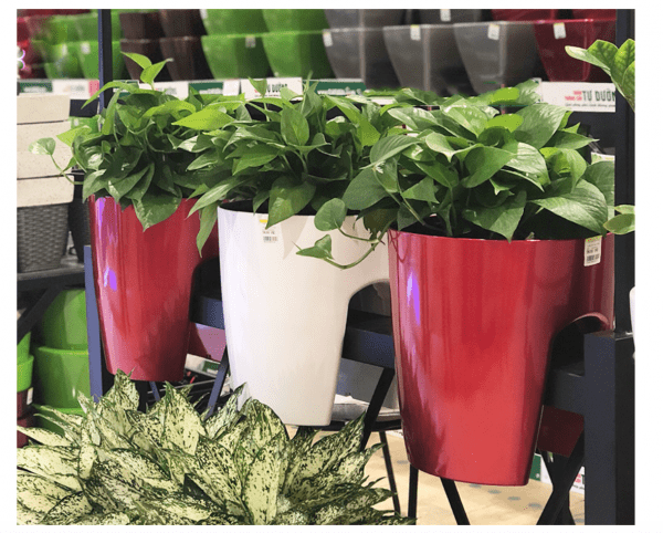 CHẬU HOA KẸP BAN CÔNG – iGar Decor