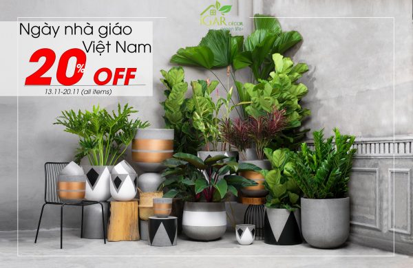 Tri Ân Ngày Nhà Giáo 20.11 iGar Decor với chương trình KM hấp dẫn – iGar Decor