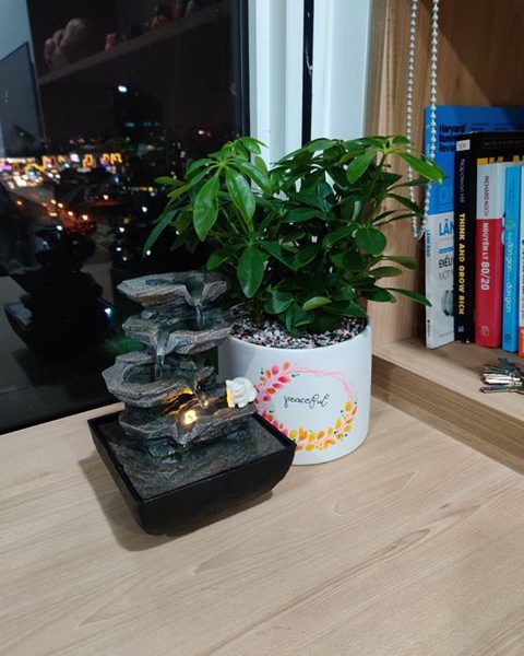 chau-cay-canh-mini