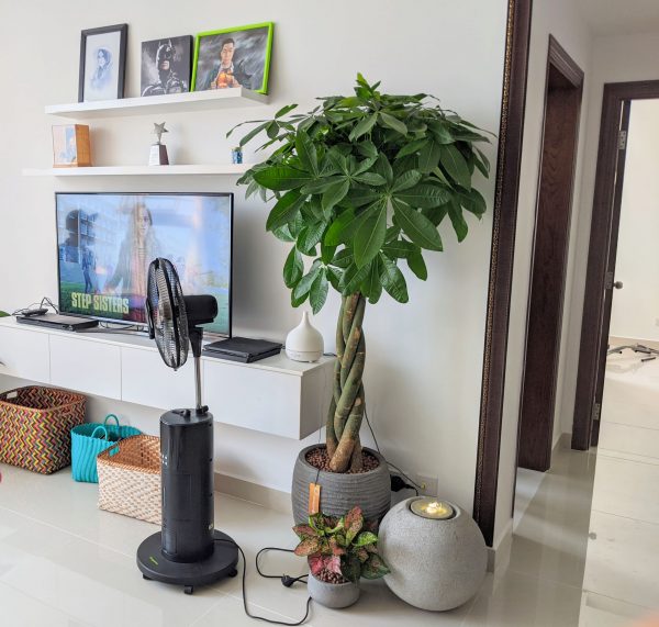 đài phun nước phong thủy