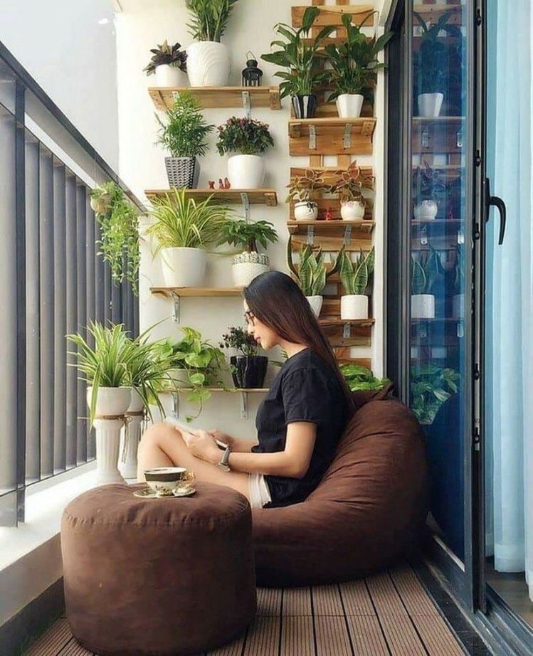 cây cảnh
