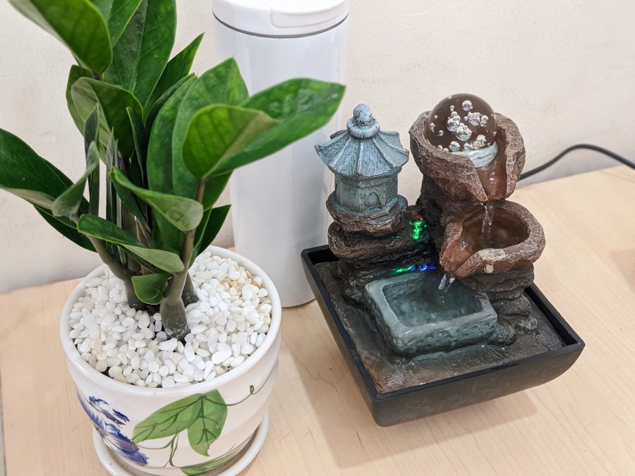 chau-cay-canh-mini