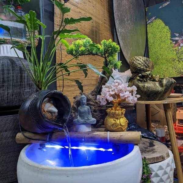Chum Lọc Nước Gốm – Lựa Chọn Tinh Tế Cho Hồ Cá Trang Trí Và Phong Thủy