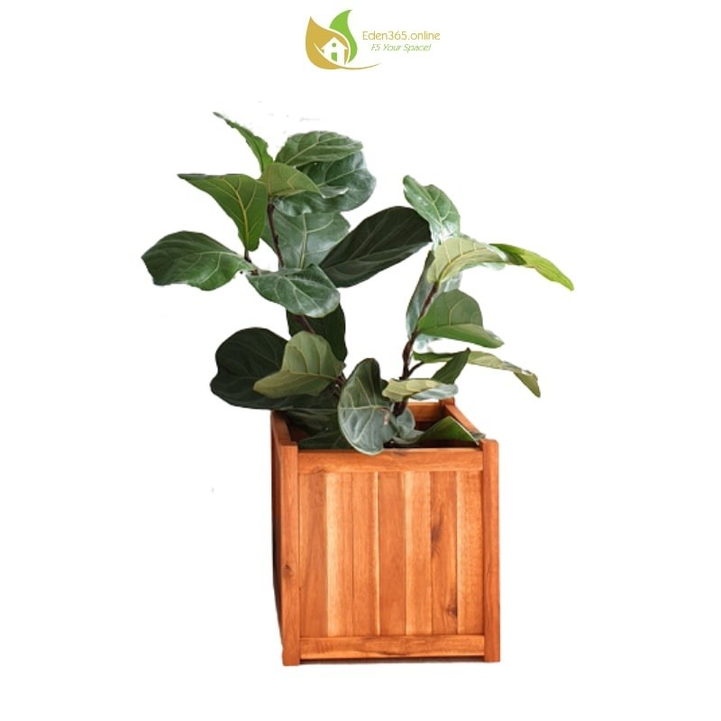 Chậu gỗ tràm tự nhiên hình vuông 32x32x32cm - ảnh 1