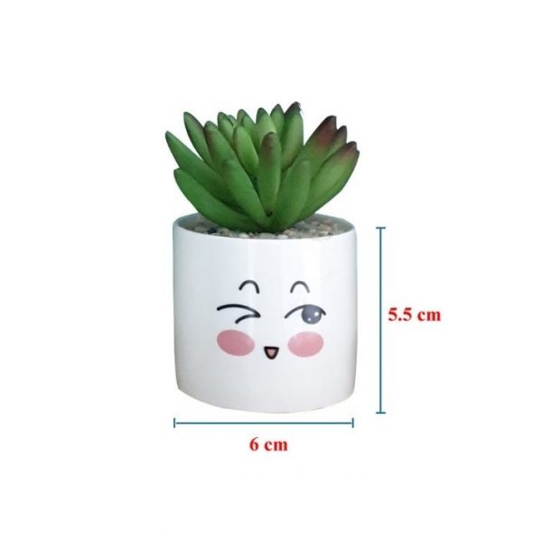 Bộ 4 Chậu Sen Đá Mini Nhân Tạo Họa Tiết Mặt Cười - kích thước chậu 6x5.5cm