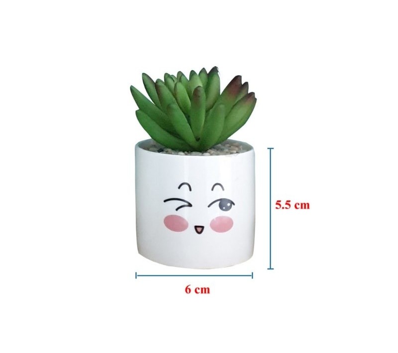 Bộ 4 Chậu Sen Đá Mini Nhân Tạo Họa Tiết Mặt Cười - 2 Bộ 4 Chậu Sen Đá Mini Nhân Tạo Họa Tiết Mặt Cười - kích thước chậu 6x5.5cm