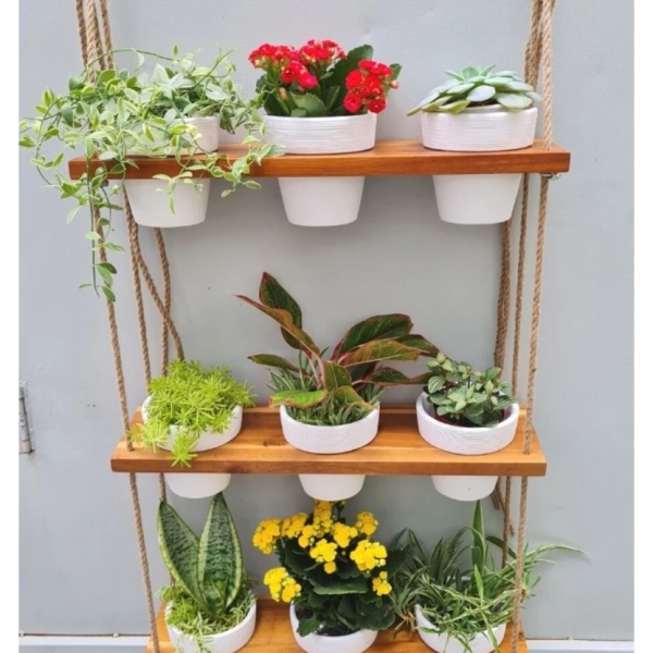 Kệ gỗ treo 3 tầng 9 chậu gốm decor ban công Eden – ảnh 3