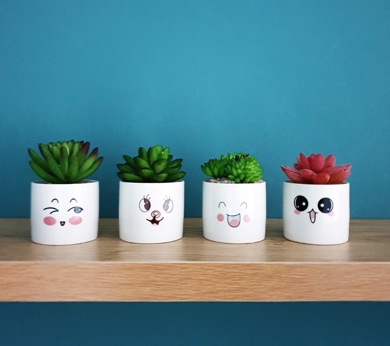 Bộ 4 Chậu Sen Đá Mini Nhân Tạo Họa Tiết Mặt Cười - 3 Bộ 4 Chậu Sen Đá Mini Nhân Tạo Họa Tiết Mặt Cười - ảnh 3