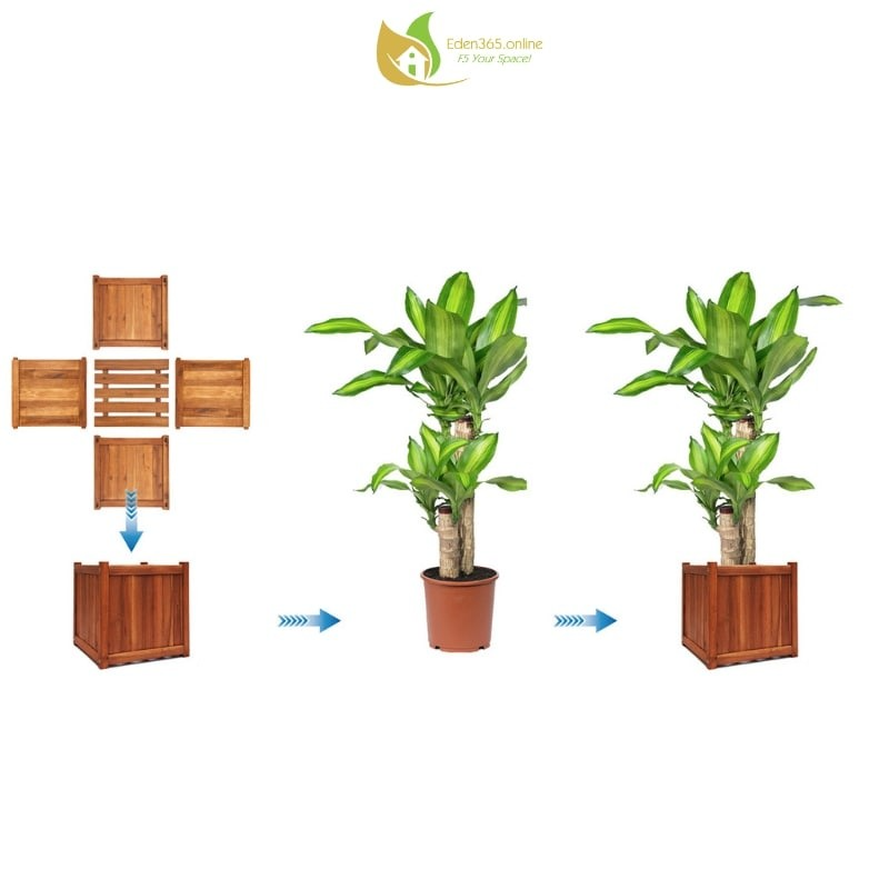 Chậu gỗ tràm tự nhiên hình vuông 32x32x32cm - ảnh 4 Chậu gỗ tràm vuông nhìn từ trên xuống, kết cấu nan gỗ đáy
