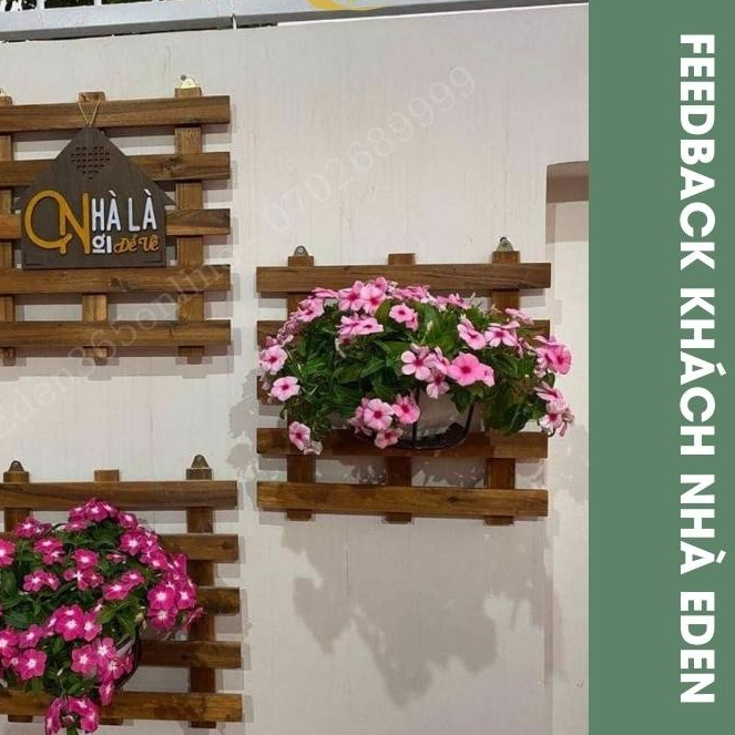 Khung gỗ treo tường treo chậu hoa dừa cạn trang trí tường nhà