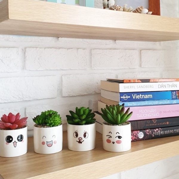 Bộ 4 Chậu Sen Đá Mini Nhân Tạo Họa Tiết Mặt Cười - ảnh 6