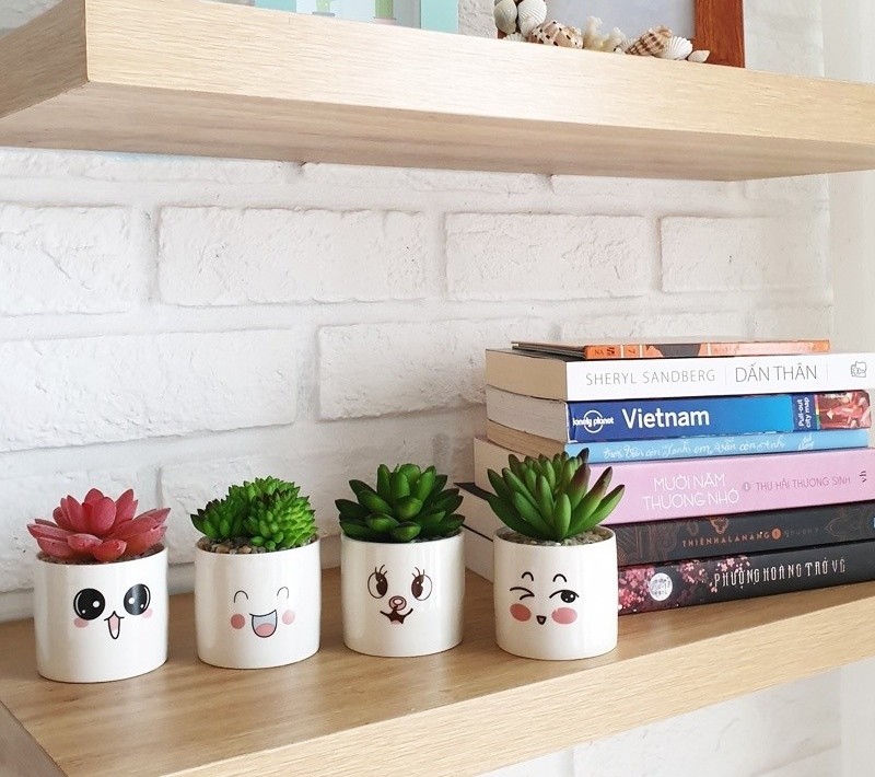 Bộ 4 Chậu Sen Đá Mini Nhân Tạo Họa Tiết Mặt Cười - 6 Bộ 4 Chậu Sen Đá Mini Nhân Tạo Họa Tiết Mặt Cười - ảnh 6