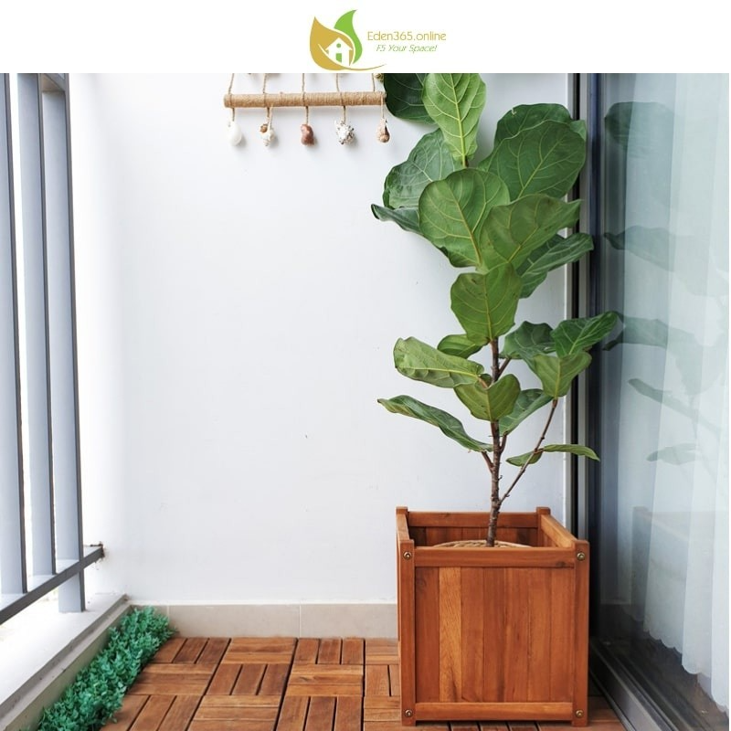 Chậu gỗ tràm tự nhiên hình vuông 32x32x32cm - ảnh 7 Chậu gỗ tràm trồng cây phát tài núi trang trí phòng ngủ