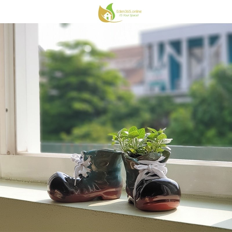 Chậu gốm hình giày xanh trồng cây mini để cửa sổ