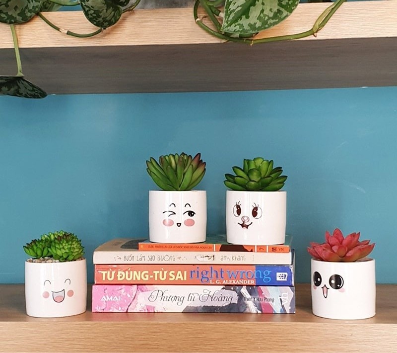 Bộ 4 Chậu Sen Đá Mini Nhân Tạo Họa Tiết Mặt Cười - 7 Bộ 4 Chậu Sen Đá Mini Nhân Tạo Họa Tiết Mặt Cười - ảnh 7