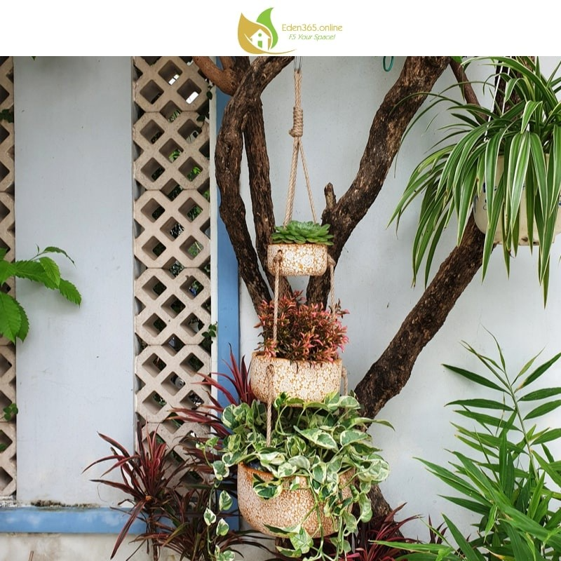 Bộ 3 chậu gốm treo hoa hồng - ảnh 7 Chậu gốm treo trồng cây trang trí ban công, sân vườn - góc nhìn khác