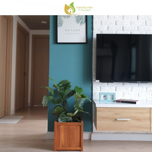 Chậu gỗ tràm trồng cây trang trí ban công căn hộ