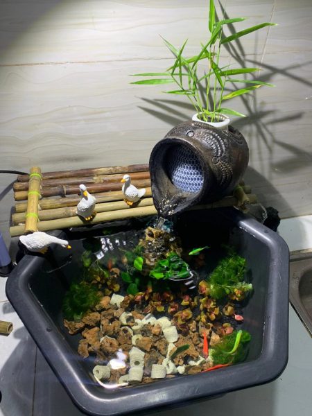 Chum lọc nước gốm bể cá tạo oxy, tiểu cảnh phong thủy - iGar Decor