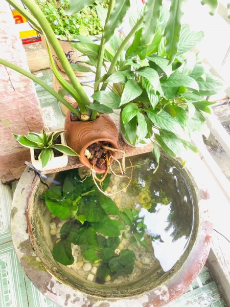Chum lọc nước gốm bể cá tạo oxy, tiểu cảnh phong thủy - iGar Decor