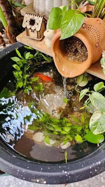 Chum lọc nước gốm bể cá tạo oxy, tiểu cảnh phong thủy - iGar Decor