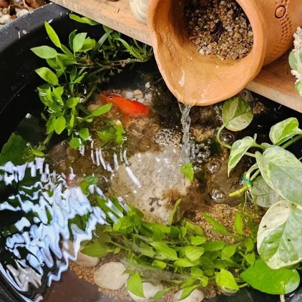Chum lọc nước gốm bể cá tạo oxy, tiểu cảnh phong thủy - iGar Decor
